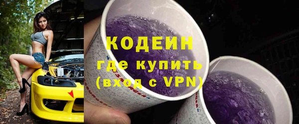 соль ск Арсеньев