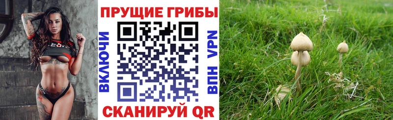Галлюциногенные грибы Cubensis  Алейск 